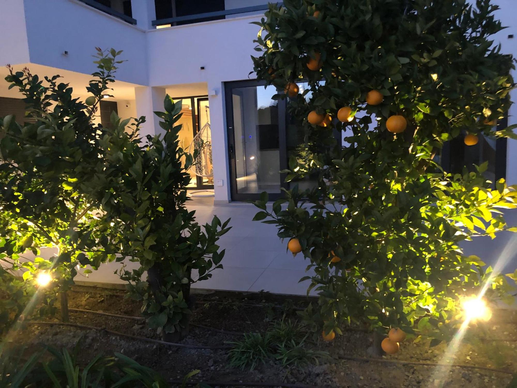 Apartments Villa Ladini 스플리트 외부 사진